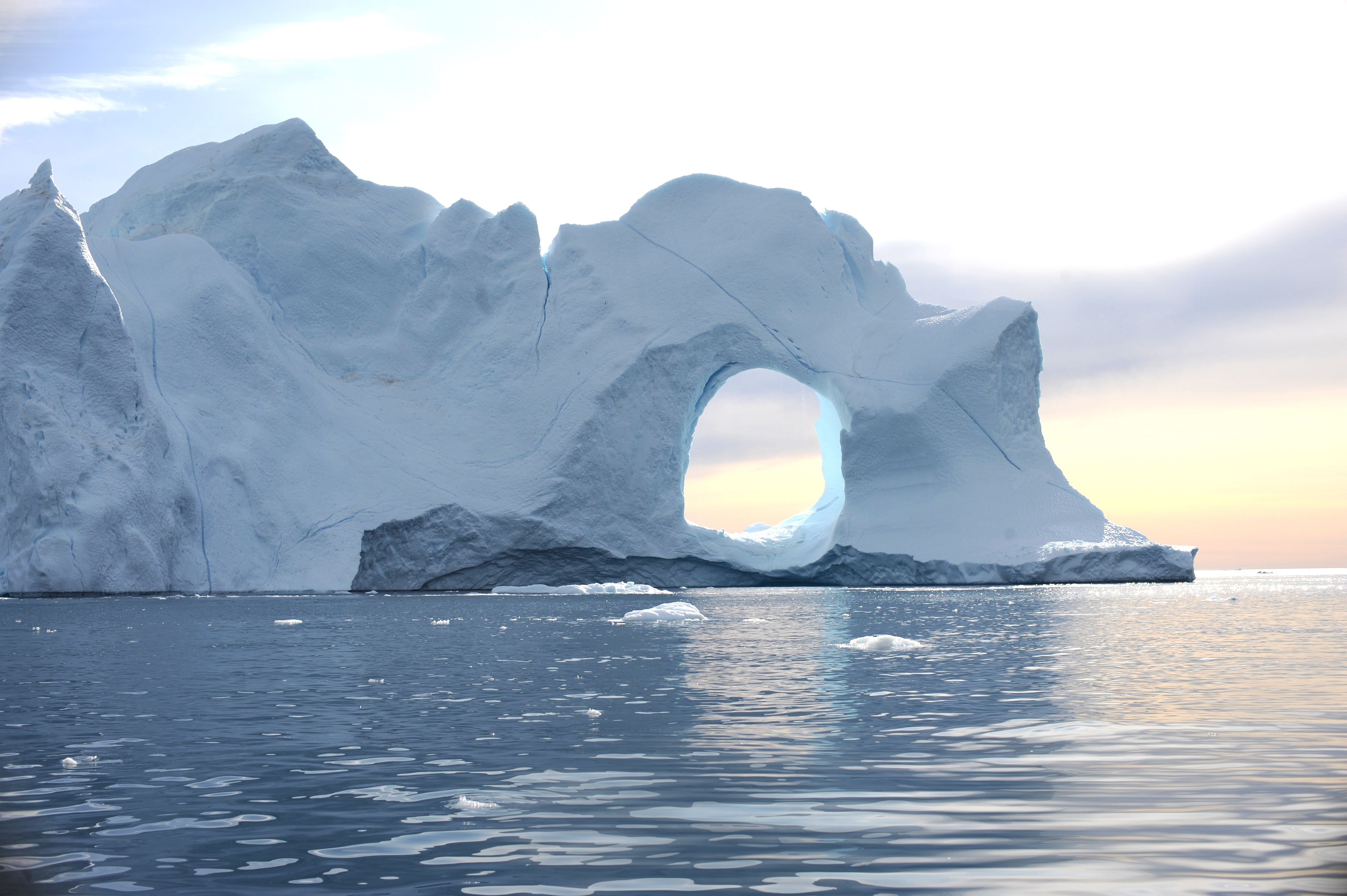 rencontres au bout du monde antarctique